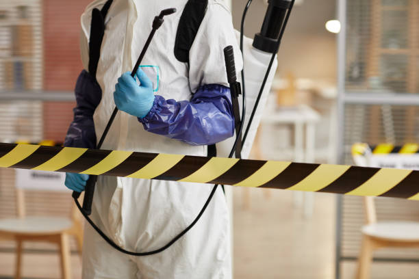 Professional Sewage Cleanup technician working in Highland, IL